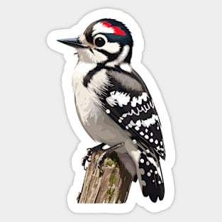 Downy Woodpecker Bird Sticker